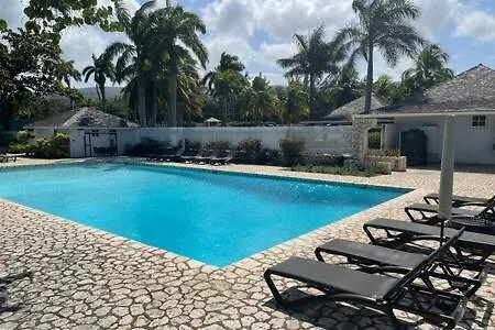 Hospitality Expert Mccartney - Tour Pool Bar *