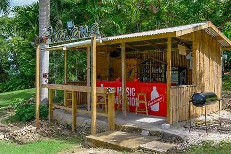 Hospitality Expert Mccartney - Tour Pool Bar