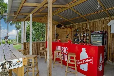 Hospitality Expert Mccartney - Tour Pool Bar * Montego Bay