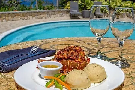 Hospitality Expert Mccartney - Tour Pool Bar *